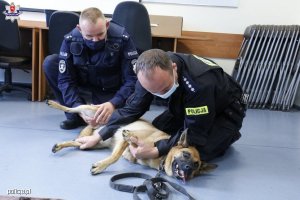 Dwóch policjantów i pies służbowy