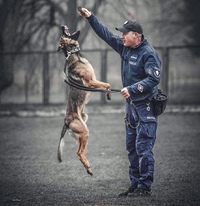 Policyjny pies wraz z przewodnikiem.