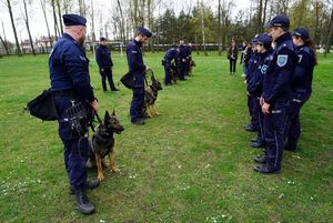 Uczniowie klasy mundurowej w trakcie zajęć z policjantami oraz w trakcie pokazu umiejętności psów służbowych.