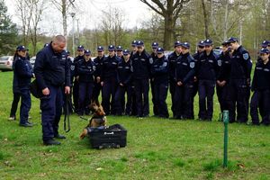 Uczniowie klasy mundurowej w trakcie zajęć z policjantami oraz w trakcie pokazu umiejętności psów służbowych.
