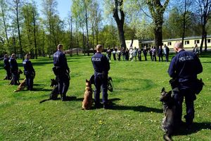 Studenci w trakcie wizyty. Policjanci wspólnie z psami służbowymi prezentują wyszkolenie czworonogów.