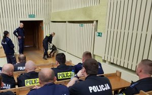 Policjanci podczas kursu w zakresie zwalczania przestępczości narkotykowej