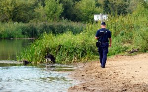 Funkcjonariusze wraz z psami służbowymi w trakcie szkolenia specjalistycznego w trakcie zajęć praktycznych.