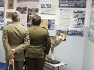 Zaproszeni goście, podczas finału XIX Kynologicznych Mistrzostw Policji zwiedzają wystawę poświęconą 100 lecia kynologii policyjnej. Ekspozycja została zaprezentowana w Zakładzie Kynologii w Sułkowicach.