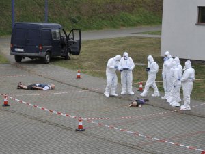 Praca grupy DVI w jednym z sektorów.