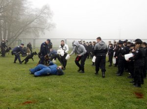 Zajęcia na kursach specjalistycznych dla przewodników psów służbowych w Sułkowicach - Zakład Kynologii Policyjnej.