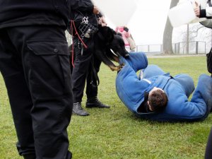 Zajęcia na kursach specjalistycznych dla przewodników psów służbowych w Sułkowicach - Zakład Kynologii Policyjnej.