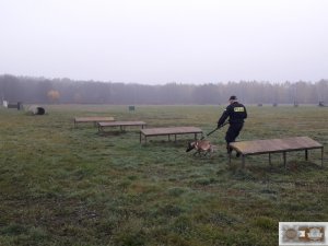 Policjanci w trakcie kursu specjalistycznego dla przewodników psów do wyszukiwania zapachów narkotyków. Zakład Kynologii Policyjnej w Sułkowicach.