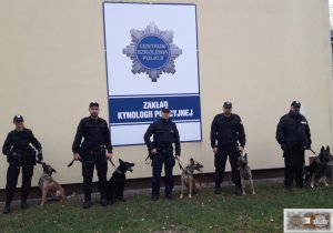 Policjanci w trakcie kursu specjalistycznego dla przewodników psów do wyszukiwania zapachów narkotyków. Zakład Kynologii Policyjnej w Sułkowicach.