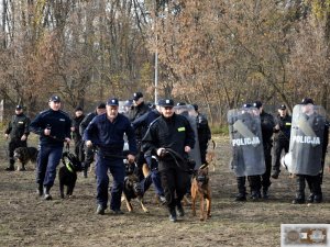 Zakład Kynologii Policyjnej -  ćwiczenia dotyczące „rozpraszania tłumu” z udziałem koni i psów służbowych oraz oddziałów zwartych.