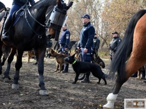 Zakład Kynologii Policyjnej -  ćwiczenia dotyczące „rozpraszania tłumu” z udziałem koni i psów służbowych oraz oddziałów zwartych.