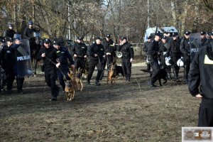 Zakład Kynologii Policyjnej -  ćwiczenia dotyczące „rozpraszania tłumu” z udziałem koni i psów służbowych oraz oddziałów zwartych.