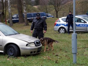 W Zakładzie Kynologii Policyjnej CSP odbywa się kolejna edycje warsztatów doskonalących sprawność użytkową psów do wyszukiwania zapachu narkotyków, zapachów materiałów wybuchowych oraz patrolowo-tropiących. Na każde szkolenie przybywają przewodnicy z psami służbowymi, z którymi na co dzień pełnią służbę w jednostkach macierzystych na terenie całego kraju. W warsztatach bierze udział po 6 przewodników z psami poszczególnych specjalności.