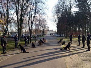 Zajęcia prowadzone na terenie Zakładu oraz w pobliskich miejscowościach.