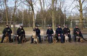 Zajęcia podczas 10-dniowych warsztatów doskonalących sprawność użytkową psów służbowych.