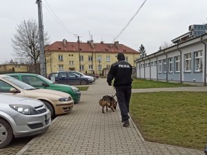 Zajęcia podczas 10-dniowych warsztatów doskonalących sprawność użytkową psów służbowych.