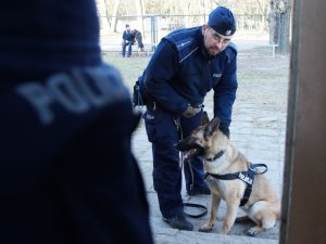 Zajęcia podczas 10-dniowych warsztatów doskonalących sprawność użytkową psów służbowych.