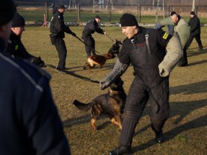 Obrona przewodnika przed atakiem