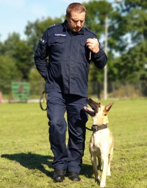 Indywidualna tresura psów służbowych w ZKP