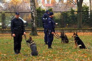 Policyjni przewodnicy z psami podczas szkolenia w Zakładzie Kynologii Policyjnej CSP w Sułkowicach