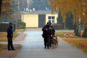 Policyjni przewodnicy z psami podczas szkolenia w Zakładzie Kynologii Policyjnej CSP w Sułkowicach