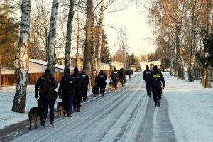 Przewodnicy psów podczas zajęć z czworonogami