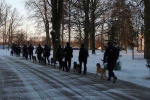 Przewodnicy psów podczas zajęć z czworonogami