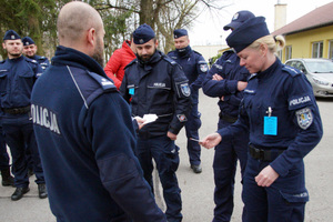 Losowanie czworonogów