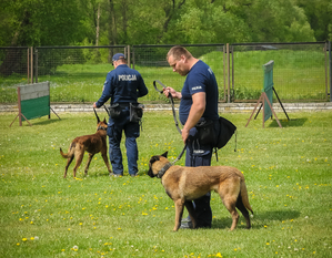 Policjanci podczas spotkania profilaktycznego z uczniami