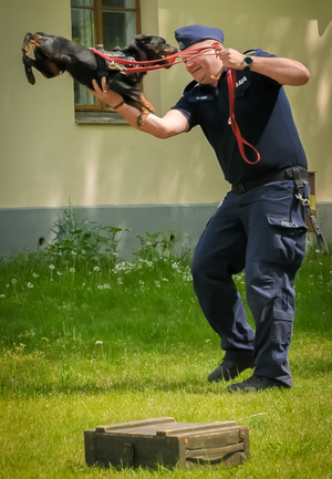 Policjanci podczas spotkania profilaktycznego z uczniami