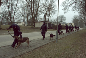 Nowe kursy rozpoczęte