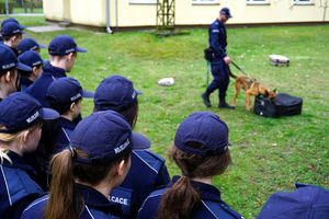 Uczniowie klasy mundurowej w trakcie zajęć z policjantami oraz w trakcie pokazu umiejętności psów służbowych.
