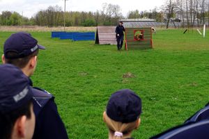 Uczniowie klasy mundurowej w trakcie zajęć z policjantami oraz w trakcie pokazu umiejętności psów służbowych.